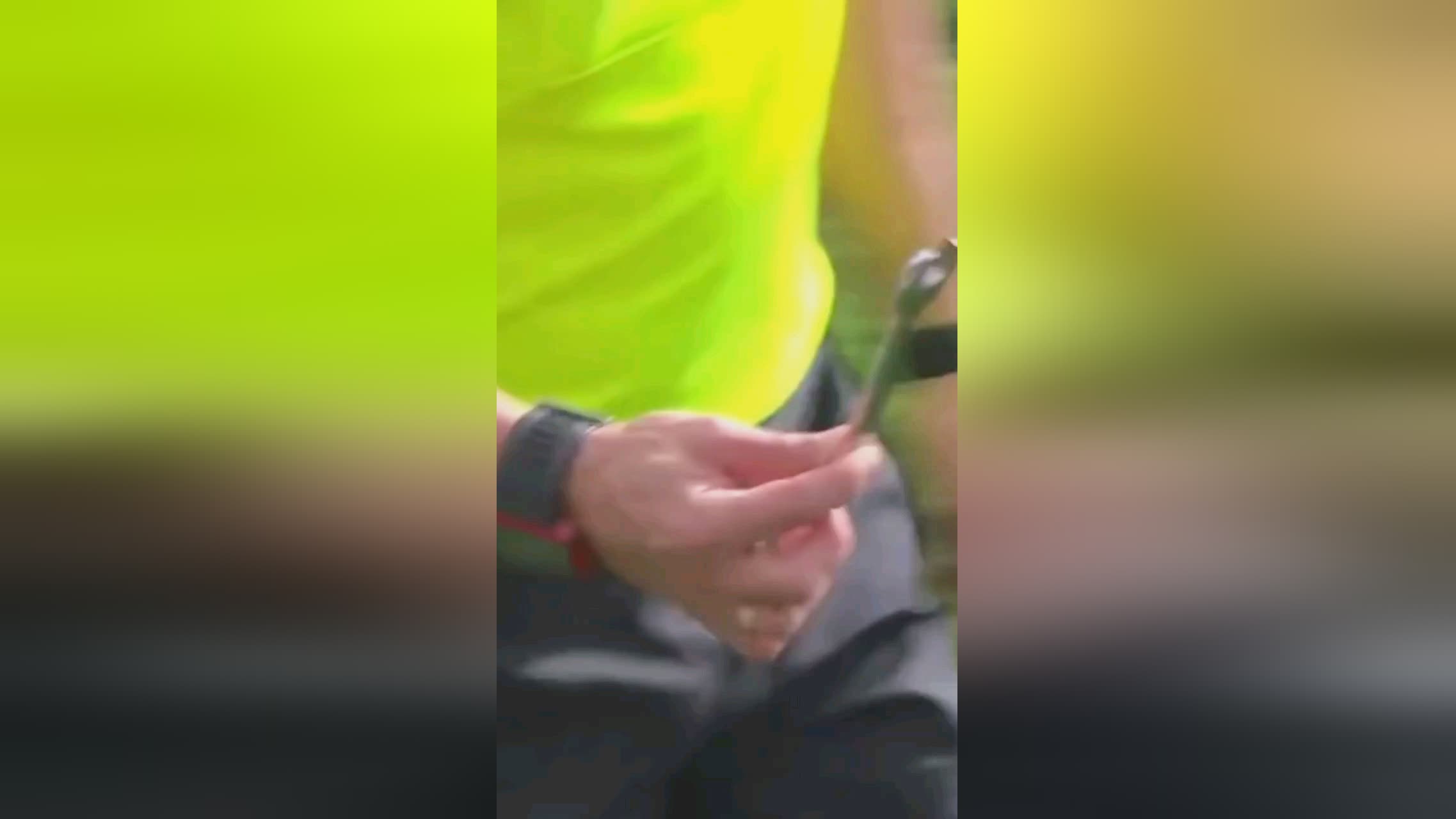 人项
